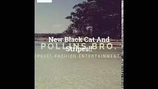 New Black Cat And Stripes From Pollins TV