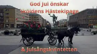 Häst och vagn i Göteborg - Avenyn med Julsångskvintetten | Sleipners Hyrverk