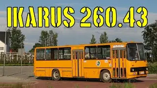 Co by tu można powiedzieć o tym autobusie? Ikarus 260.43 - ex-JSZ-370