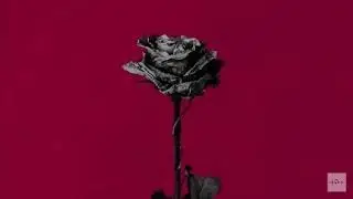 blackbear - my heart is lost (Clean - Lyrics)