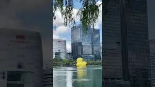 Seoul ASMR Rubber Duck in Seokchon Lake