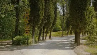 Dievole: the Chianti Classico Way Of Living