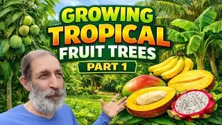 How to Grow the Most Fruit in a Small Yard (Tropical Fruit Strategy)