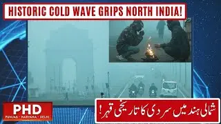 Delhi Winters 2026: Record-Breaking Cold as Temperature Plummets to 3&deg;C | PHD NEWS | 13-01-2026
