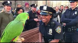 Parrot Vs Cop 🦜🤣 Try Not to Laugh: Parrot Proposal Outside the Police Station!😂🔥