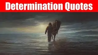 Determination Quotes | Quoteing