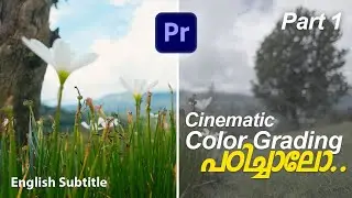 How to Color Grade Like a Pro Malayalam | Part 1 | Cinematic Color Grading Premiere | Edit Like PRO
