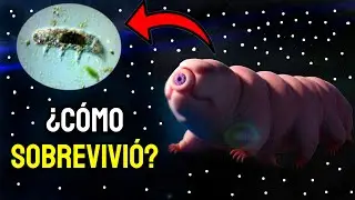 El ANIMAL que NI el VACÍO del ESPACIO pudo MATAR