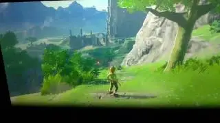 Breath of the Wild Reaction Video