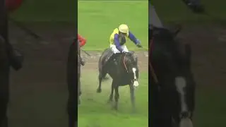 300/1 winner at Exeter 👀