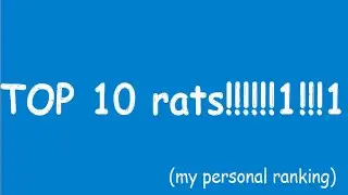 top 10 rats! 150 sub special(50sub special reupload)