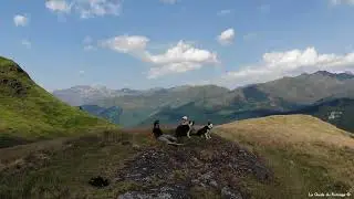 Dans la vallée d'Aspe #valleedaspe #bearn #estive #transhumance