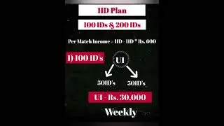 Accsys India Business 1 ID Plan Benefit...👍🏻