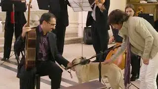 Pablo M&aacute;rquez Giuliani  concerto rehearsal with dog