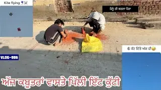 ਲਓ ਜੀ, ਅੱਜ ਗੋਸ਼ੋ ਤੇ chobber ਨੇ ਕਬੂਤਰਾਂ ਵਾਸਤੇ ਪਿੱਲੀ ਇੱਟ ਕੁੱਟੀ|| ਤੇ ਸਾਰਾ ਦਿਨ ਪਤੰਗਬਾਜੀ ਕੀਤੀ…