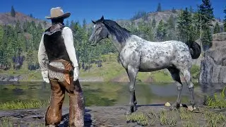 John Marston Tames Beautiful Arabian Grey Horse at Big Valley | RDR2