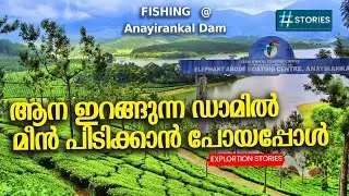 Fishing | Anayirankal Dam | ആനയിറങ്കൽ ഡാമിലെ നാടൻ  ഗോൾഡ് ഫിഷ് | Gold Fish | FISH | Fishing malayalam