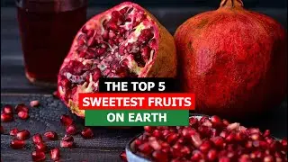 Unbelievable: Discover the World's Top 5 Sweetest Fruits!