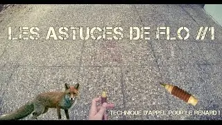 Les Astuces de Flo #1 - Chasse : Technique d'appel du renard à l’affût - Explication !