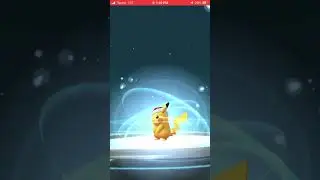 Christmas raichu