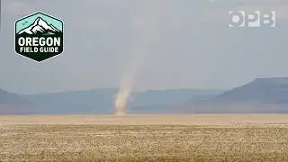 The science of dust devils and how it helps understand what's happening on Mars | Oregon Field Guide