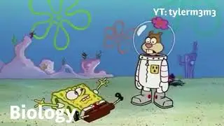 High school classes portrayed by spongebob