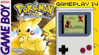 Dove trovare le MN03 Surf e MN04 Forza - Koga, Capopalestra Veleno - Pokémon Giallo GamePlay