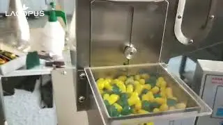 CGN208-D Semi-Auto Medical Capsule Filling Machine For Size 000# 00# 0# 1# 2# 3# 4#