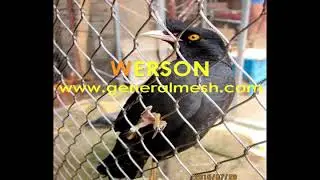 Aviary Netting Bird Net，Zoo Net,Webnet Mesh,Monkey Enclosure Mesh