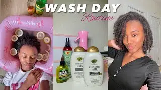 ПРОСТОЙ стартовый уход для волос Starter Loc Wash Day Routine + Detox | Простой уход в домашних у...