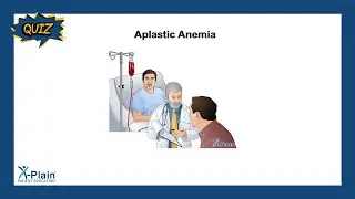 Aplastic Anemia - Quiz