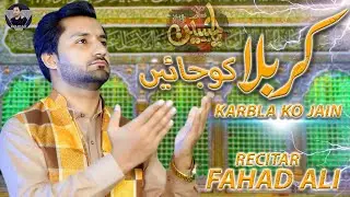 Karbala ko Jain By Fahad Ali | New Viral Qasida