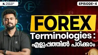 Forex Terminologies For Beginners Explained | Pips, Lot Size, & More | Free Forex Series Ep 4