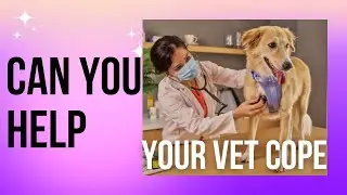 How Can You Help Your Veterinarian & Staff With Compassion Fatigue?