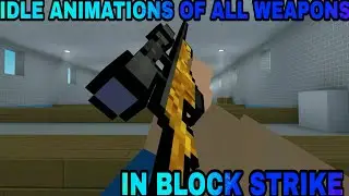 IDLE Animations of all Block strike weapons!