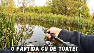Nu am inteles nimic din partida asta! (O stiuculita si 2 bibanoci)