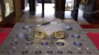 Signet Rings In Ice - Time Lapse
