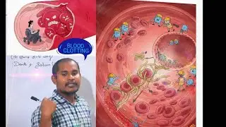 BLOOD CLOTTING... LET'S LEARN 