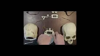 Talking Skull Head Turn Kit Manual