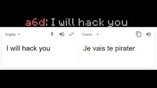 Поэтому я воспользовался Google Translate, чтобы поговорить с владельцем этого французского серве...