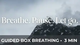 Guided 3 Minute Box Breathing | Calm Your Mind & Reduce Stress