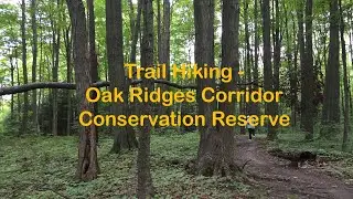 Hiking on Oak Ridges Corridor Conservation Reserve