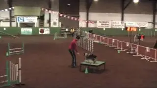 Yankee SStandard2