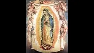 Tường Thuật Những Lần Đức Mẹ Hiện Ra Ở Guadalupe - Mễ Tây Cơ - Năm 1531