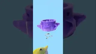 Broadcast feed your Coral Reef The EASY Way