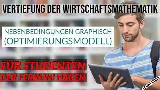 Vertiefung Wirtschaftsmathematik - Optimierungsmodell - Fernuni Hagen