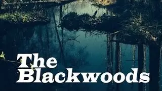 The Blackwoods - &laquo;Мой друг лучше всех играет блюз&raquo; (jam fun)