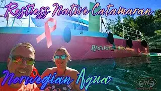 The Best Excursion in Bermuda, with a cause! 🩷| Restless Native