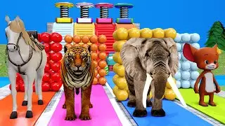 Long Slide Game with Mouse Elephant Tiger And horse 3d Animals Slide Video funny Animals Cartoon