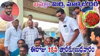 28/01/2026  khammam mirchi market price khammam mirchi market today #dharalu#mirchi#mirchiratetoday